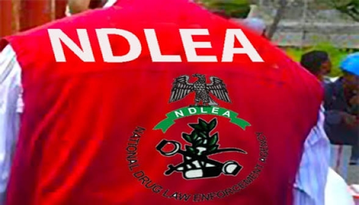 NDLEA intercepts over 9 tonnes of illicit drugs, arrests 260 at Lagos airport